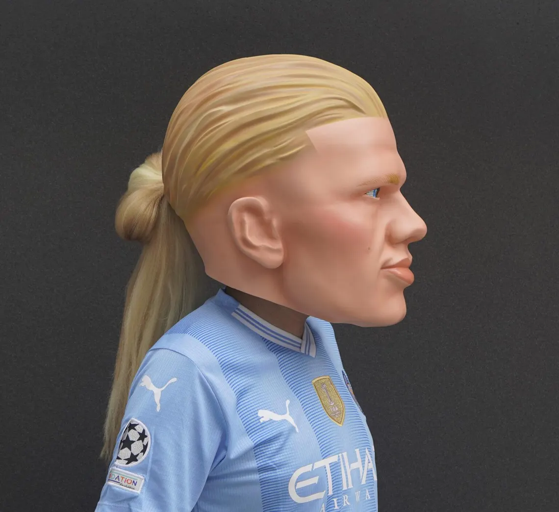 HAALAND – CABEZON - Image 3