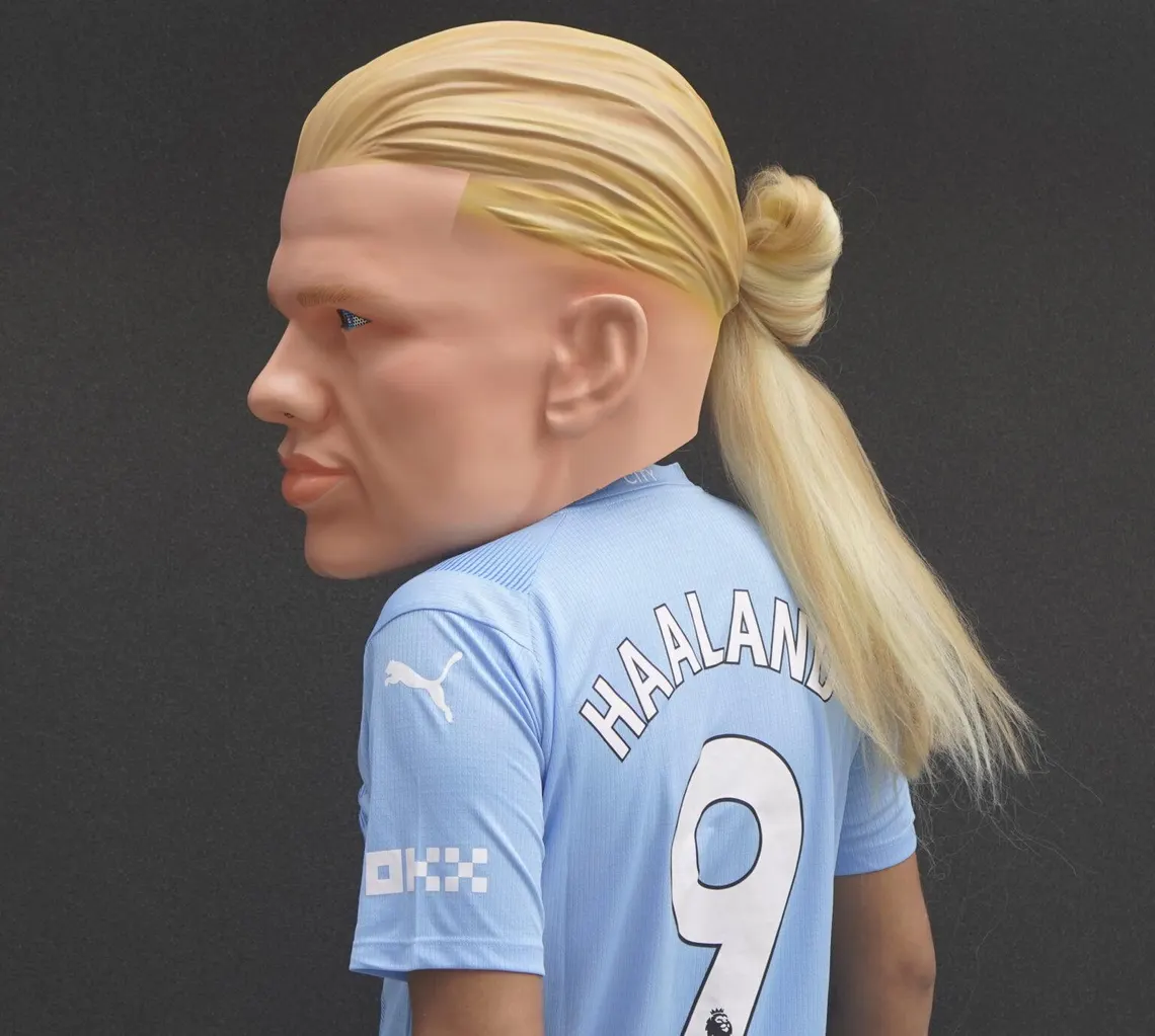 HAALAND – CABEZON - Image 4