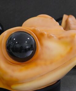 Alternative view of CONCHO – CABEZON